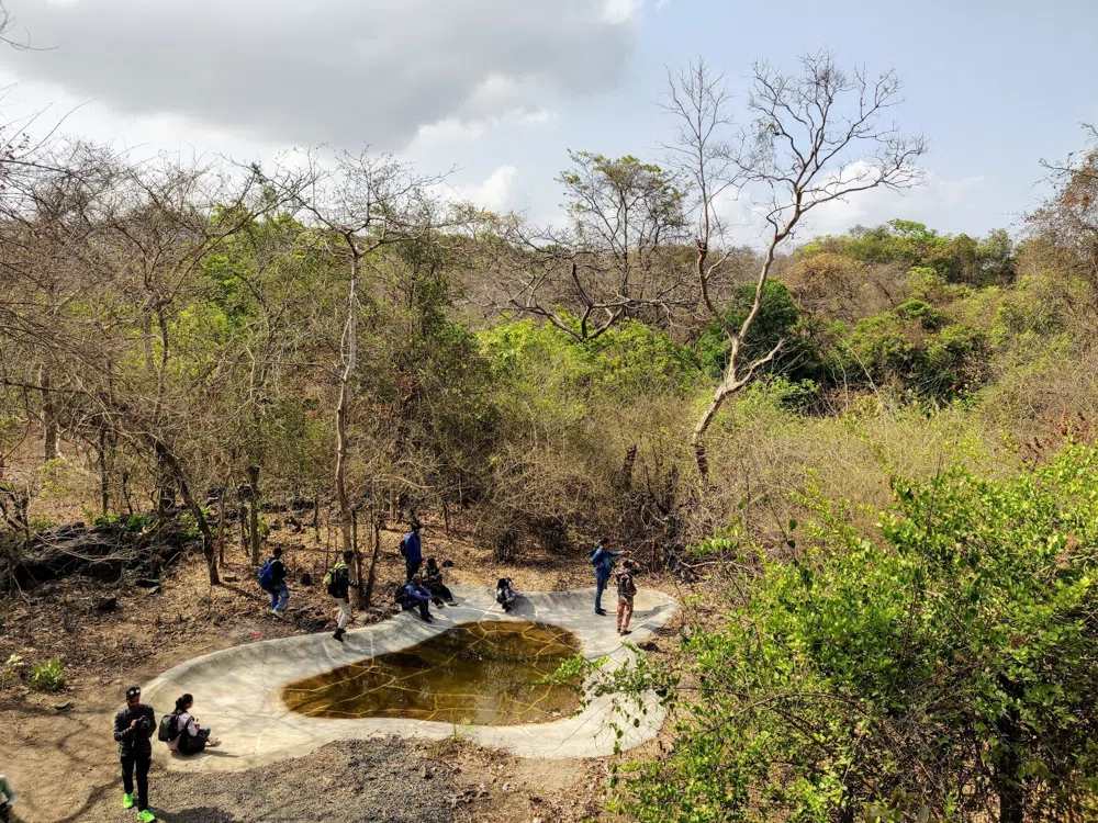Kanheri, Leopards and Mumbai's Forested Northern Edge