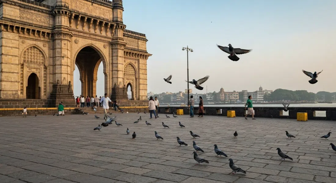 el Gateway of India en Apollo Bunder con luz de amanecer, agua del puerto detrás del arco de basalto amarillo y palomas levantándose del pavimento